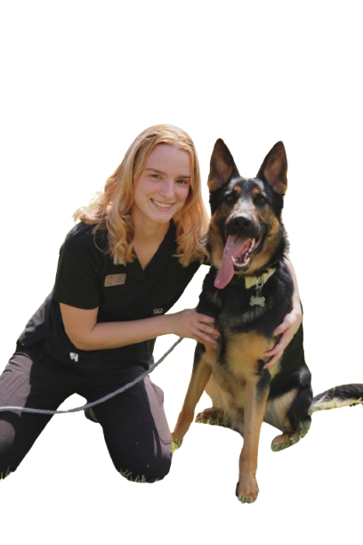 Lora Velazquez - Lead Dog Trainer at Impulz K9 Orlando